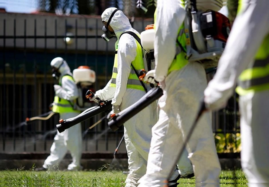 Service de fumigation à Montréal